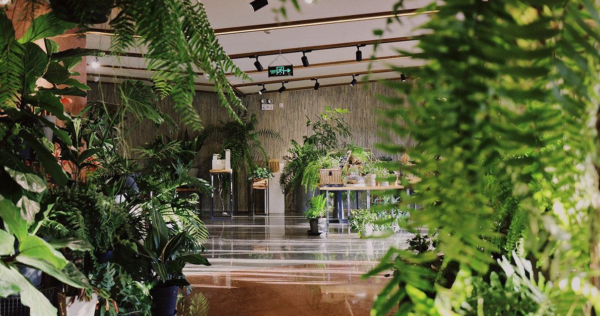 龙8头号玩家奥莱·滇池小镇