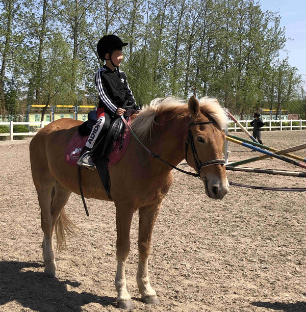 龙8头号玩家(国际集团)官方网站