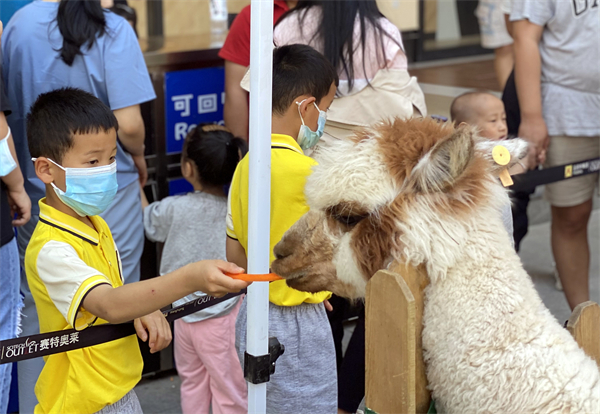 龙8头号玩家(国际集团)官方网站