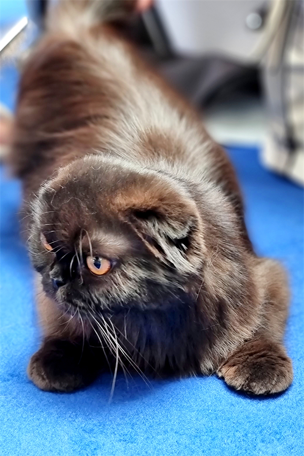 龙8头号玩家(国际集团)官方网站