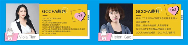 龙8头号玩家(国际集团)官方网站