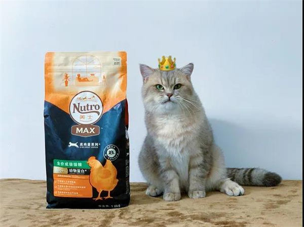 龙8头号玩家(国际集团)官方网站