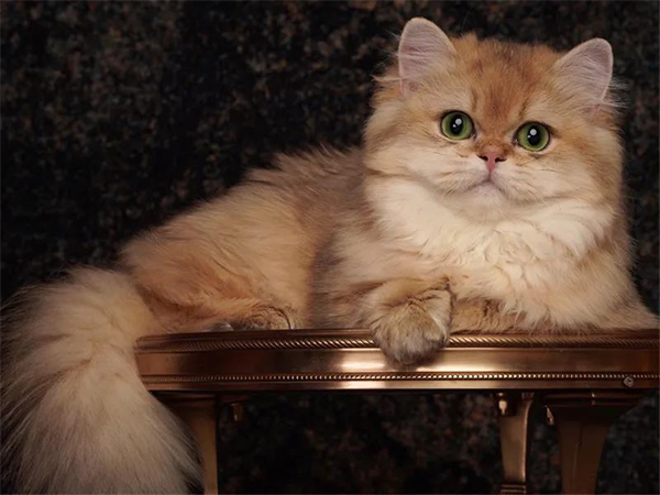 龙8头号玩家(国际集团)官方网站