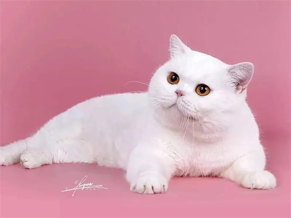 龙8头号玩家(国际集团)官方网站