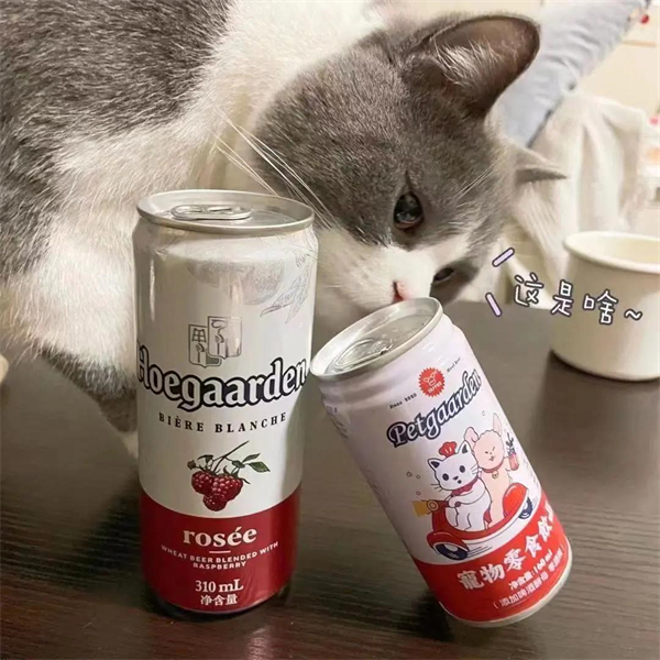 龙8头号玩家(国际集团)官方网站