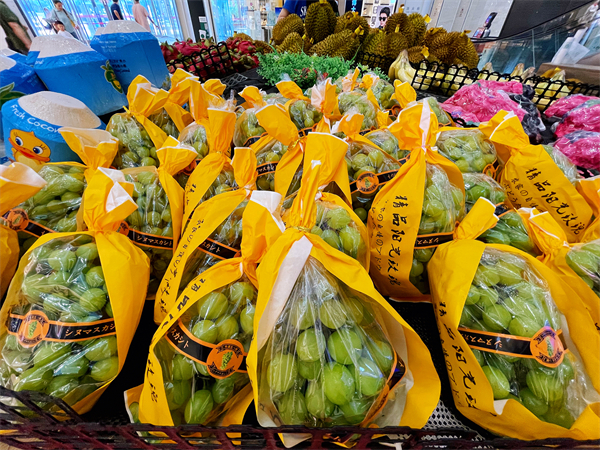 龙8头号玩家(国际集团)官方网站