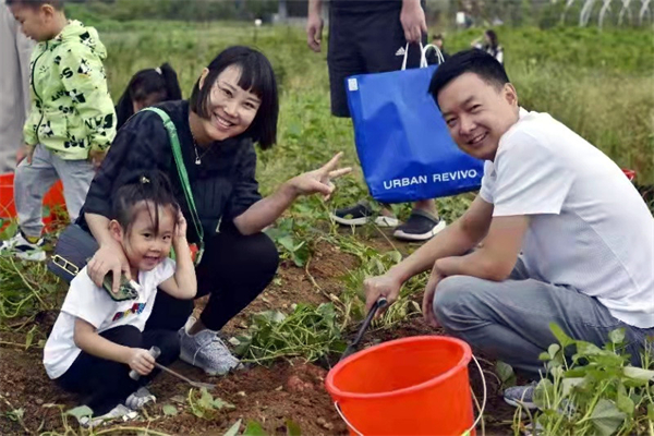 龙8头号玩家(国际集团)官方网站