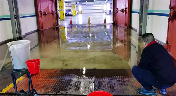 龙8头号玩家(国际集团)官方网站