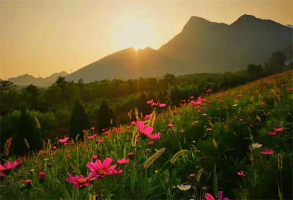 龙8头号玩家(国际集团)官方网站