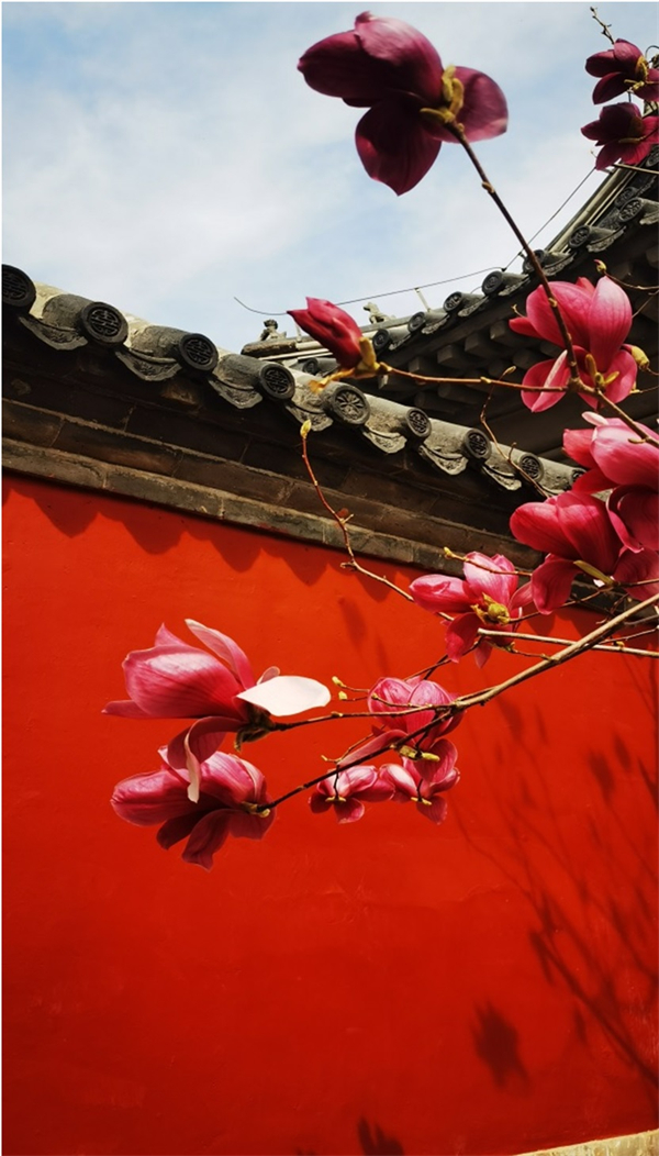 龙8头号玩家(国际集团)官方网站