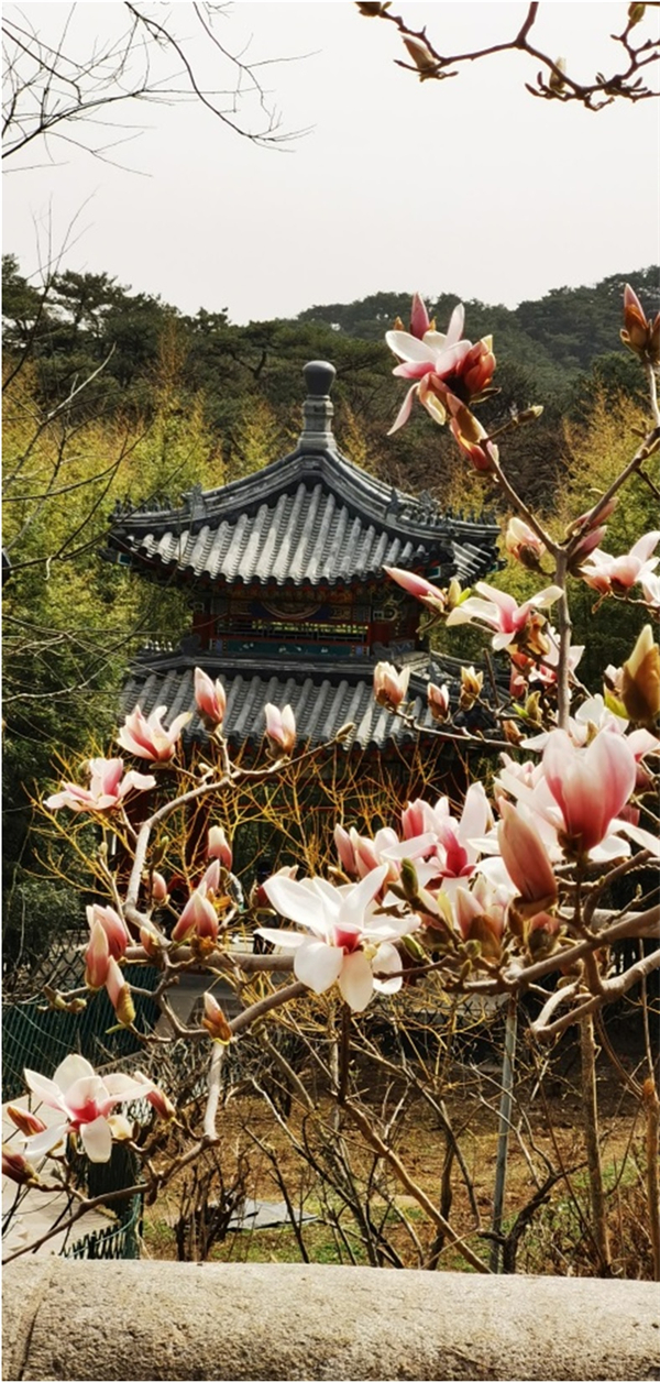 龙8头号玩家(国际集团)官方网站