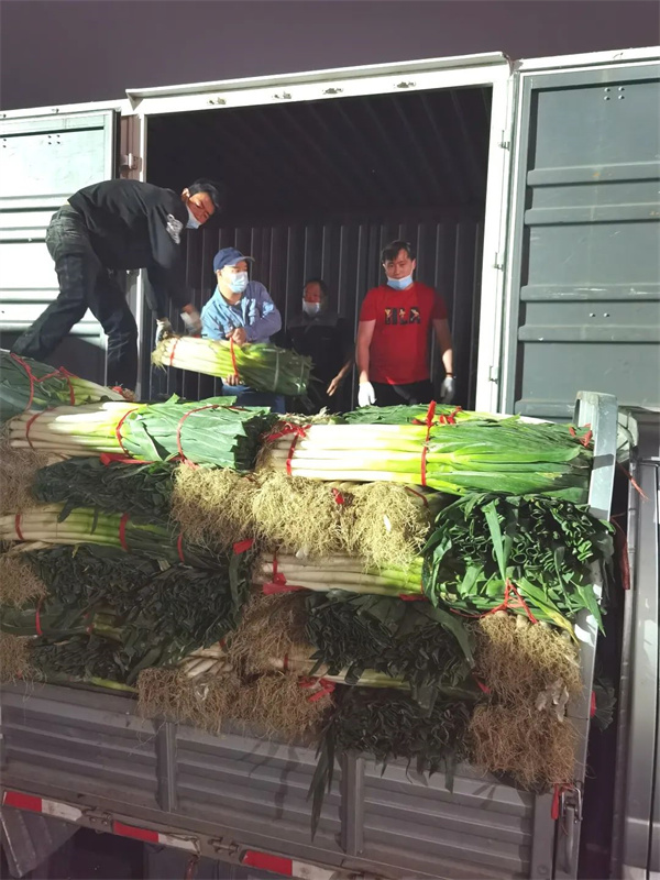 龙8头号玩家(国际集团)官方网站