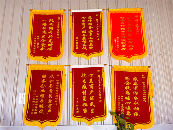 龙8头号玩家(国际集团)官方网站