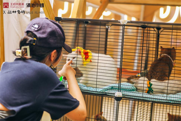 龙8头号玩家(国际集团)官方网站