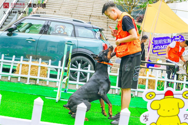 龙8头号玩家(国际集团)官方网站