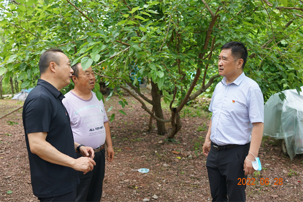 龙8头号玩家(国际集团)官方网站