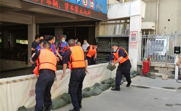 龙8头号玩家(国际集团)官方网站