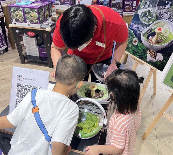 龙8头号玩家(国际集团)官方网站