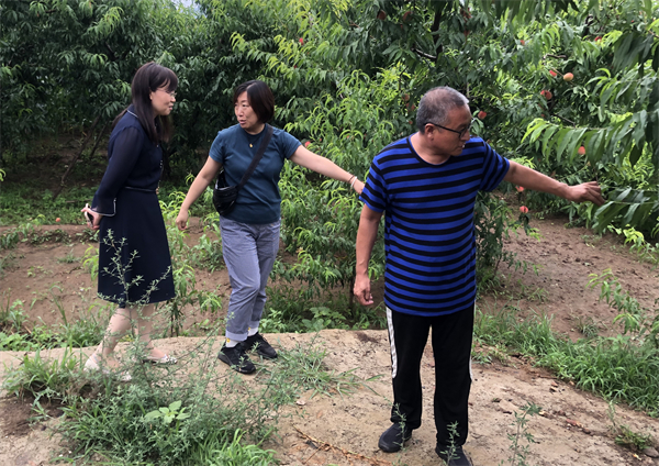 龙8头号玩家(国际集团)官方网站